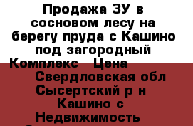 Продажа ЗУ в сосновом лесу на берегу пруда с.Кашино под загородный Комплекс › Цена ­ 25 000 000 - Свердловская обл., Сысертский р-н, Кашино с. Недвижимость » Земельные участки продажа   